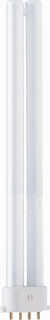 LAMPEN