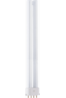 LAMPEN