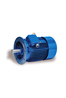 CANTONI SEMh 71 ELEKTROMOTOR ELECTRIC MOTOR MOTEUR ELECTRIC
