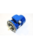 CANTONI SKh 71 ELEKTROMOTOR ELECTRIC MOTOR MOTEUR ELECTRIC