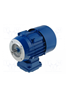 CANTONI SKh 80 ELEKTROMOTOR ELECTRIC MOTOR MOTEUR ELECTRIC