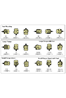 DUTCHI/MARATHON DMA2 1500 RPM ELECTROMOTOR